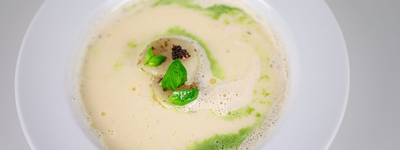 Weiße Tomatensuppe mit gebratener Jakobsmuschel und Basilikumschaum ...