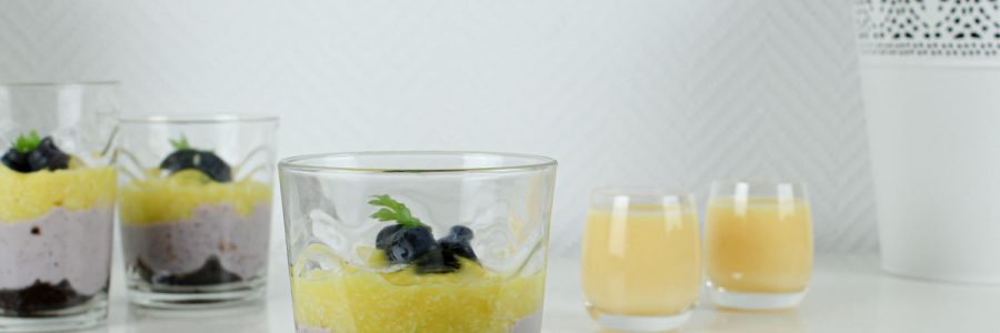 Blaubeeren-Mango-Dessert im Glas